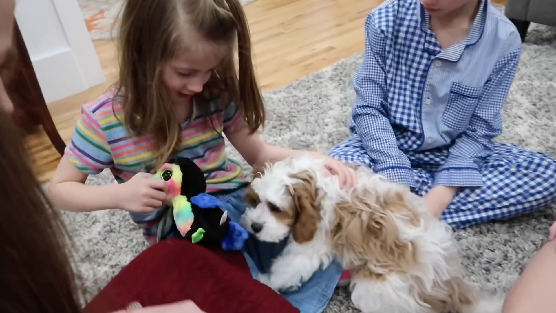 6 Kids 1 Surprise Puppy And A Whole Lot Of Excitement Rtm Rightthisminute