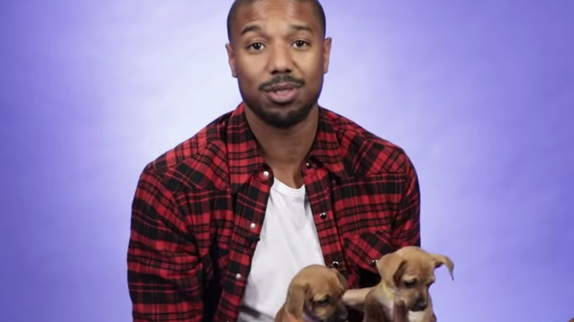 puppy jordans