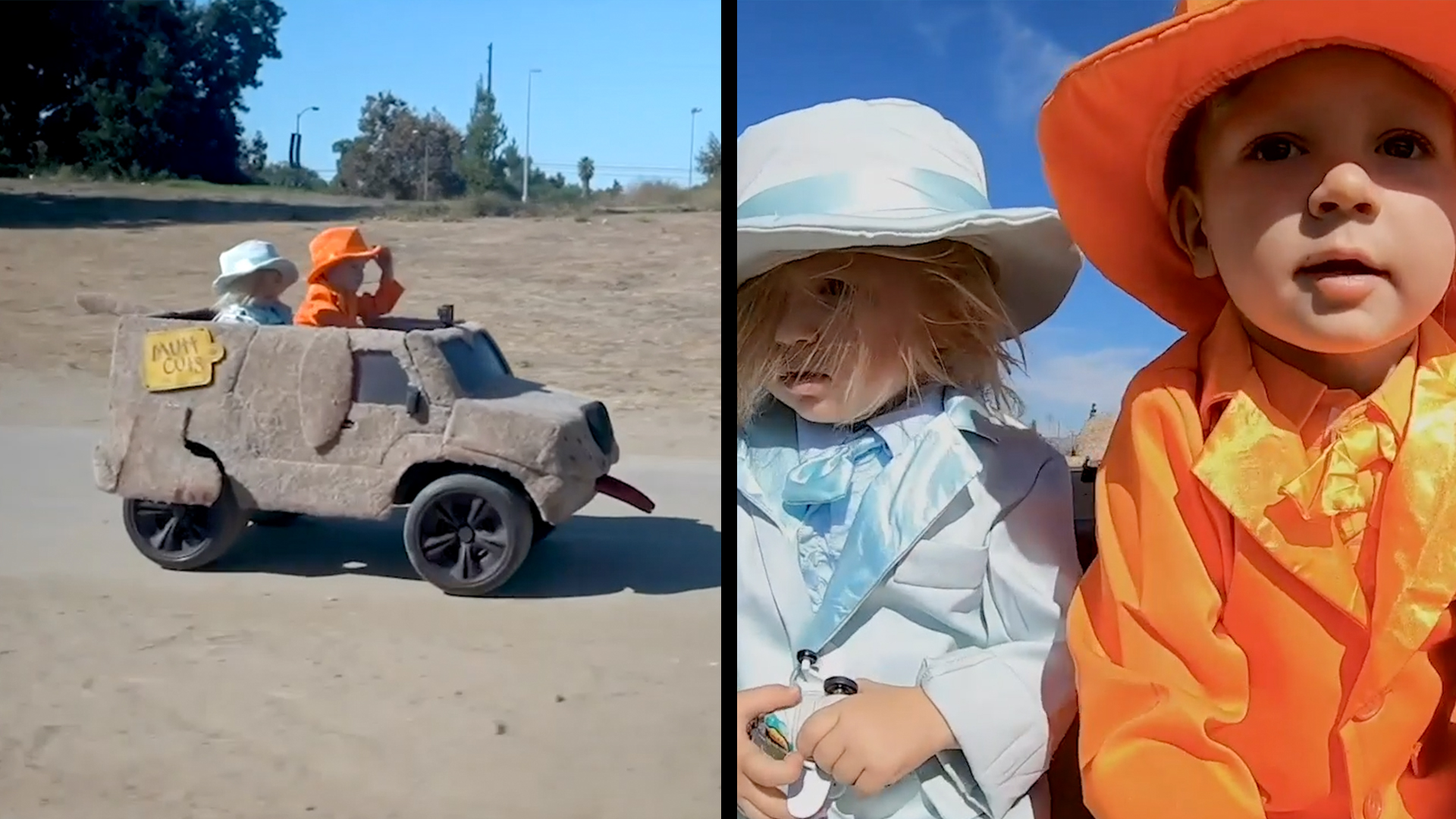 dumb and dumber mutt cutts costume