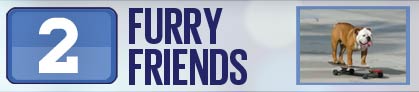 2 Furry Friends