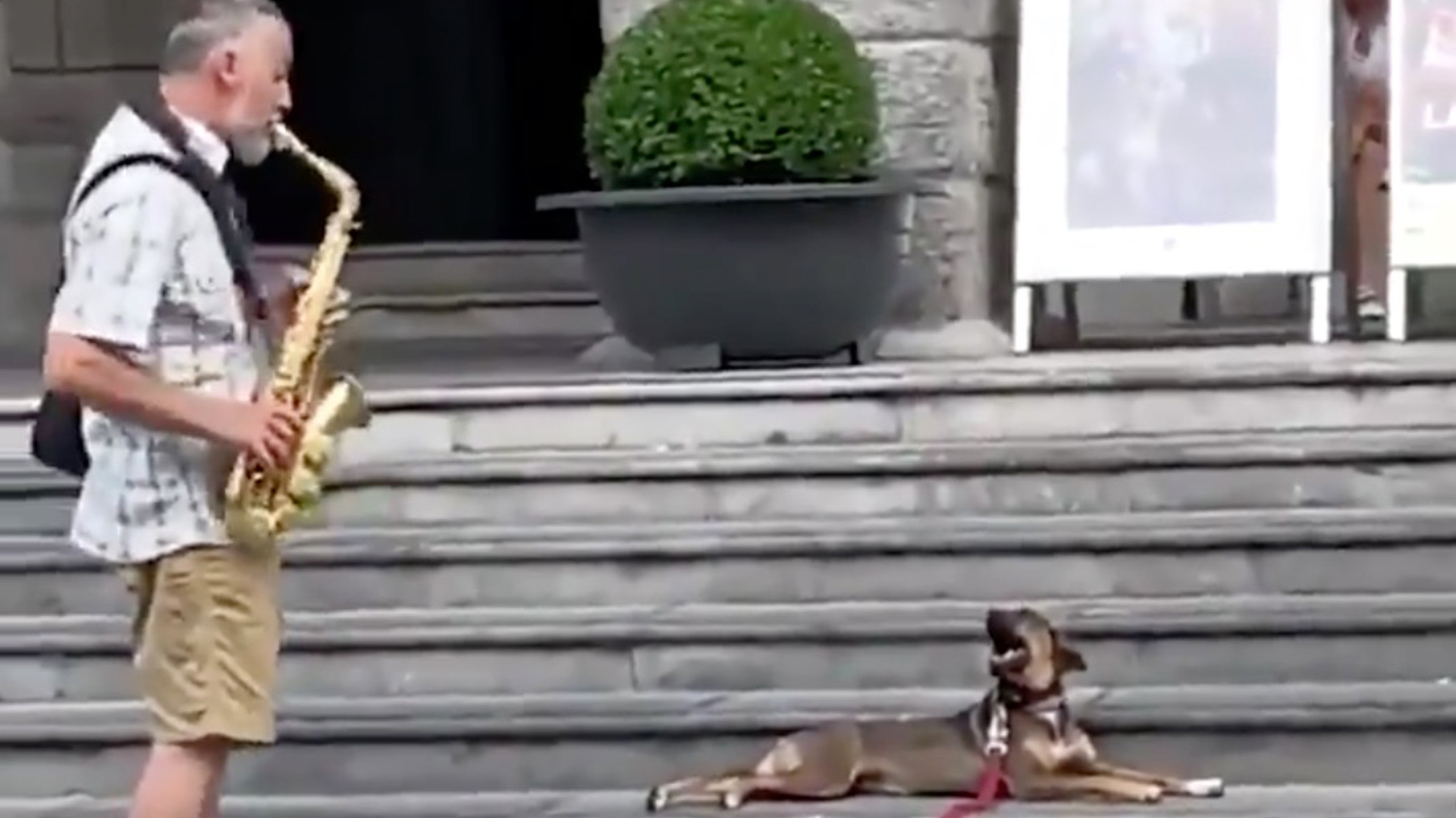 Dog Sings Along With Saxophone Player RTM RightThisMinute