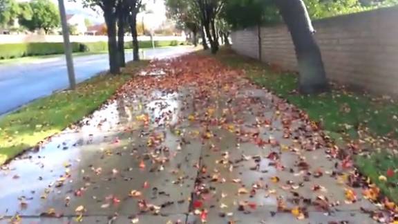 The Sounds of Stepping on Fall Leaves