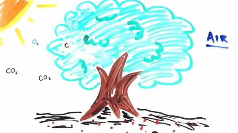 Work Out That Body With Coco�s New Fitness App RTM