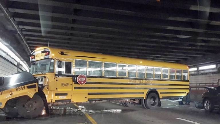 school bus driver resumes