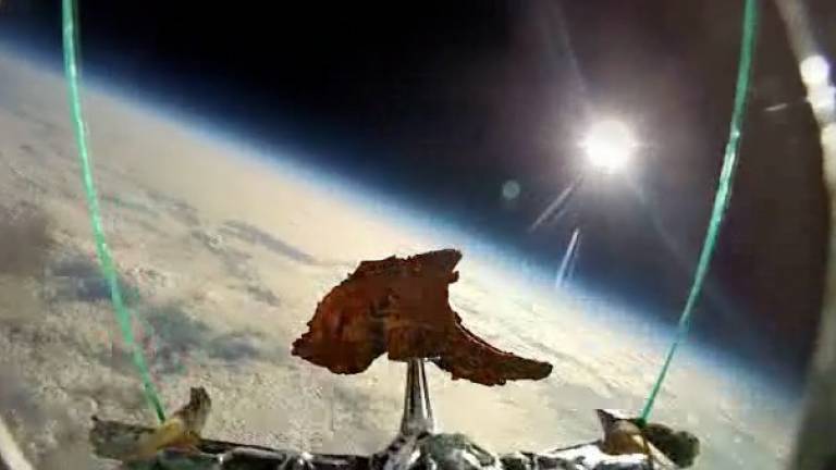 Author Launches Lamb Chop into Space to Promote Book