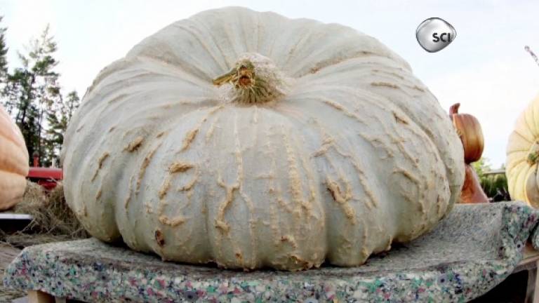 'Punkin Chunkin' Packing a 'Superchunk' This Year!