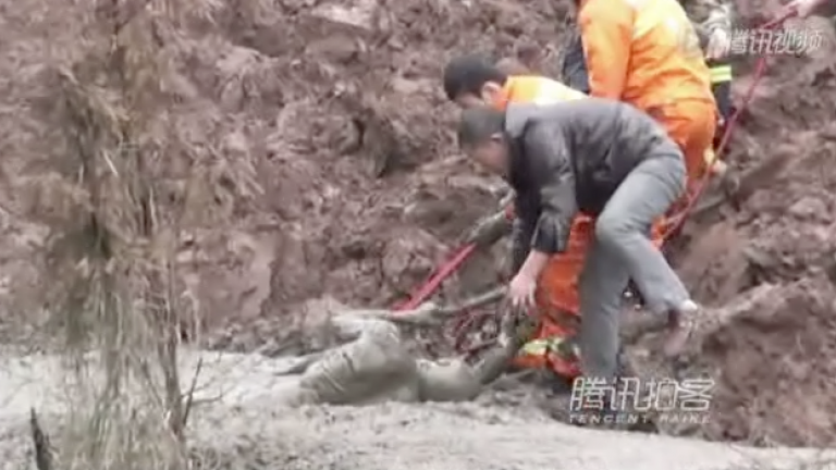 Shocking Rescues Caught on Camera