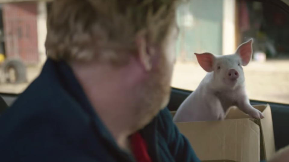 Ending of the Adorable Pig Commercial Will Pluck at the ol' Heart