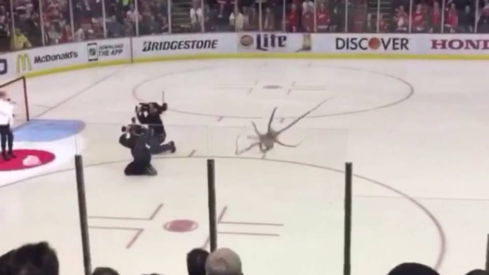 Hockey Fan Throws Giant Octopus onto Ice RTM RightThisMinute