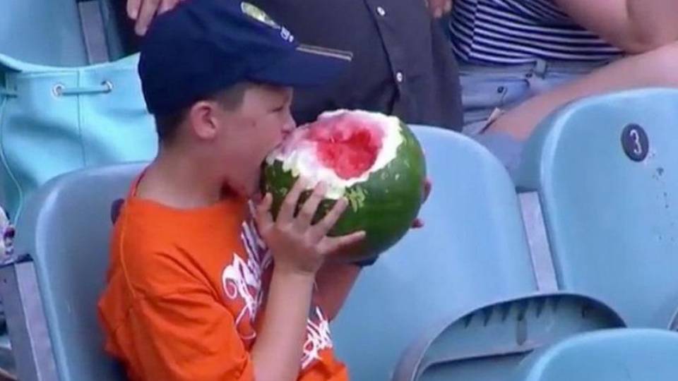 Kid Eating Watermelon At Cricket Match Kid Eating Watermelon At Cricket Match