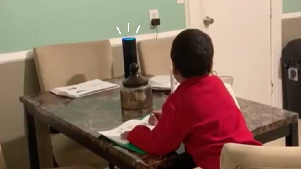 Best alexa devices picture