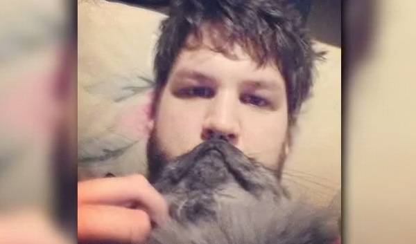cat bearding the latest internet craze rtm rightthisminute