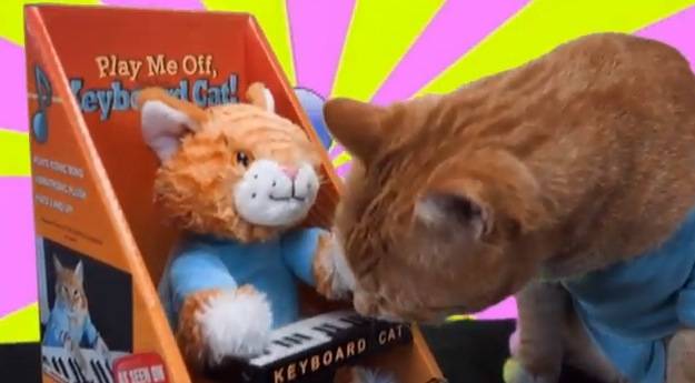 keyboard cat plush