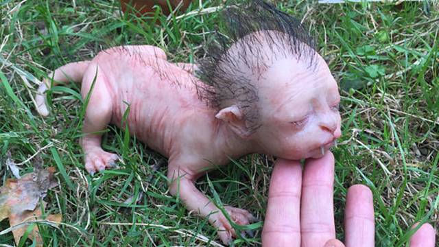 werewolf baby dolls for sale