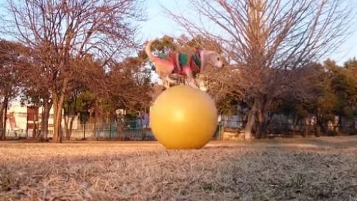 Original Video Rollin Safari What If Animals Were Round Rtm Original Video Rollin Safari What If Animals Were Round Rtm