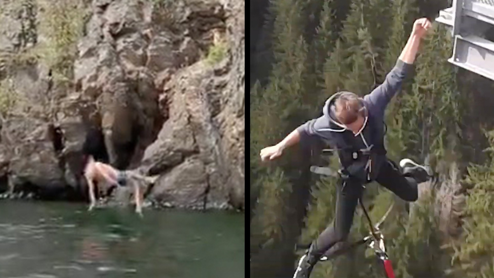 Epic Cliff Diving Fail & Nervous Bungee Jumper Has Second Thoughts