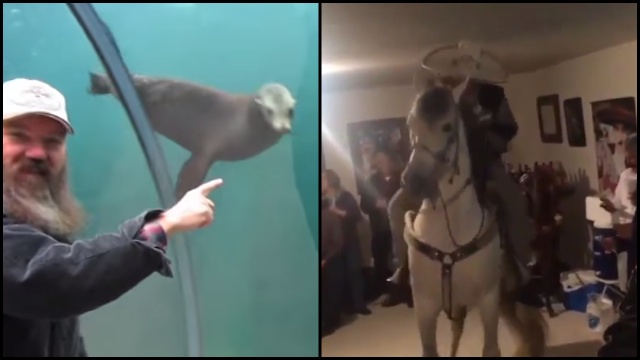 Animals Having Fun With Their Human Friends