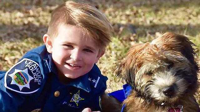 Sometimes A Boy Just Wants His Mom Dog Video Sometimes A Boy Just Wants His Mom Dog Video