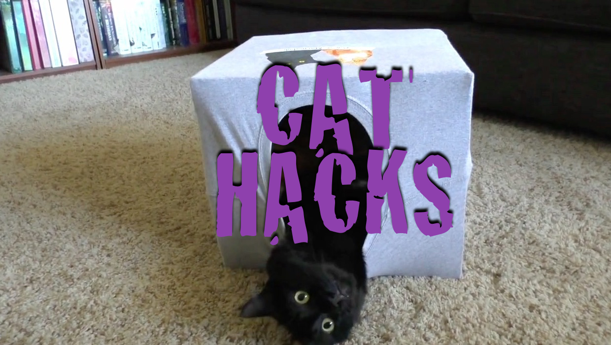 5 Cat Hacks That Will Change Your Life RTM RightThisMinute