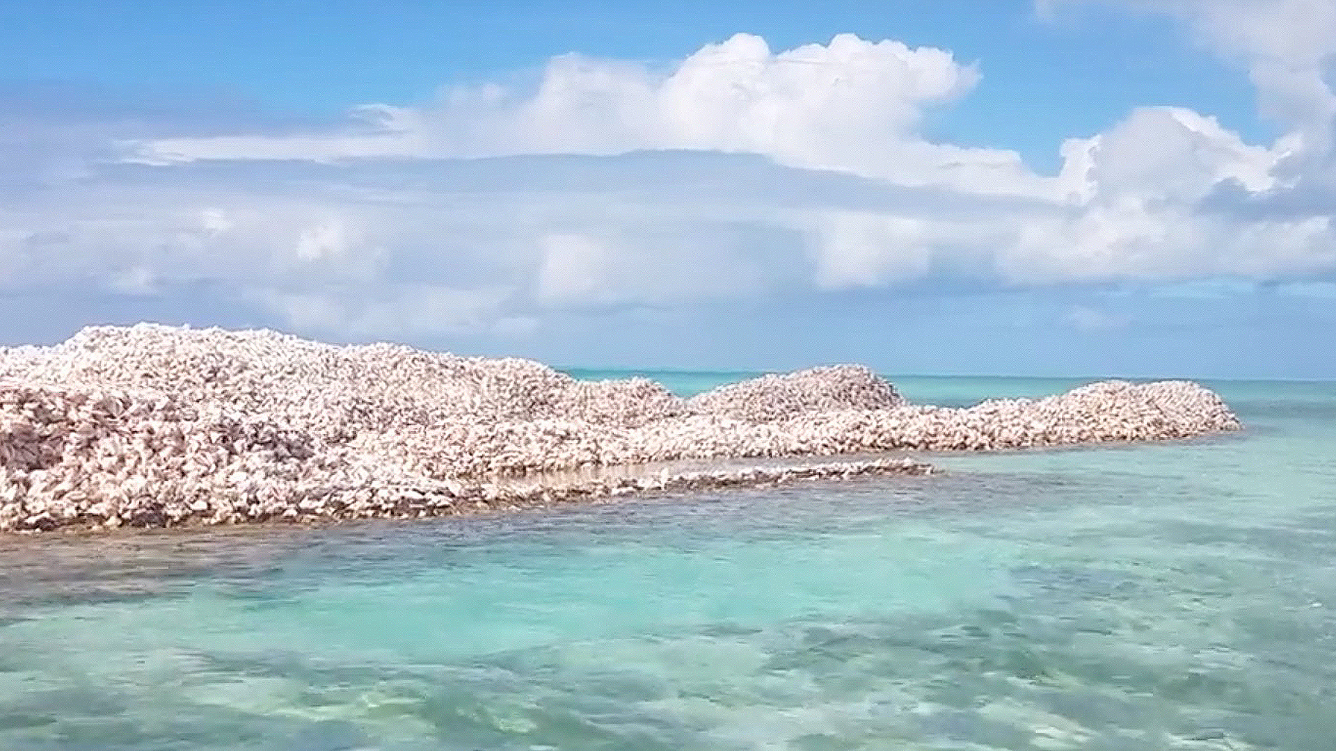 The Island Of Conch Shell Debris RTM RightThisMinute