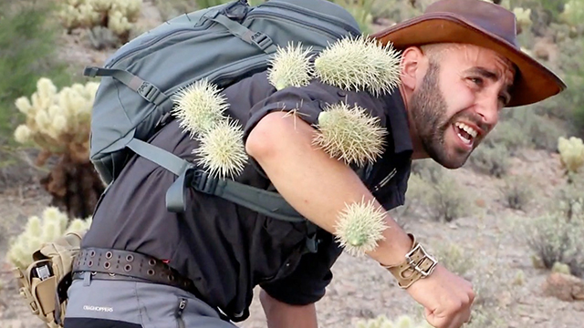 coyote-peterson-brave-wilderness-cholla-