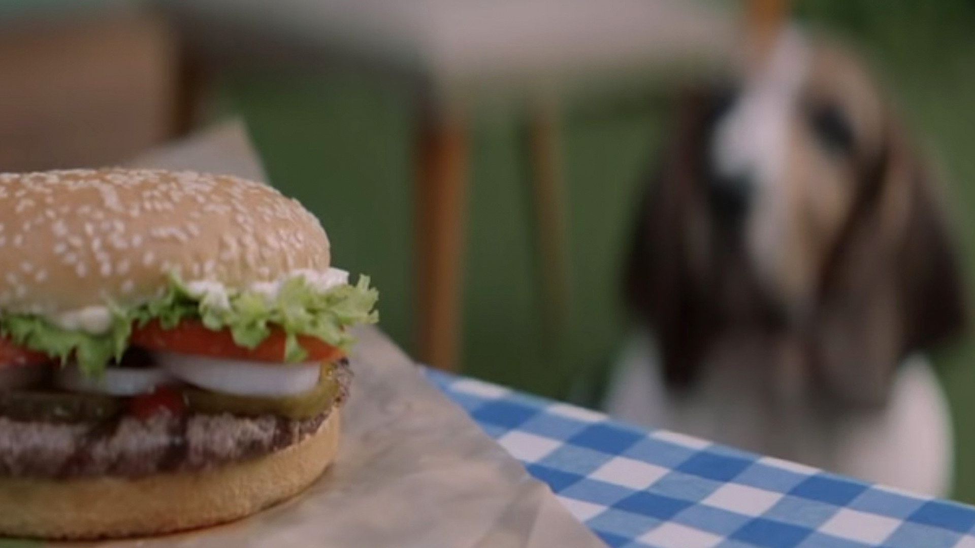 No More Dog Guilt! Burger King Offers Yummy Treat RTM RightThisMinute