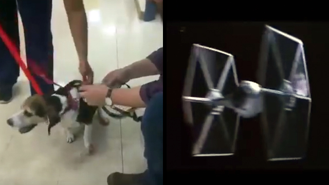 Dog Sounds Like A Tie Fighter