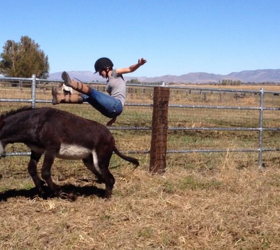 Be Careful What You Wish for on a Donkey RTM RightThisMinute
