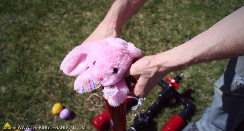 Easter Bunny Gets Shot From A Cannon Rtm Rightthisminute