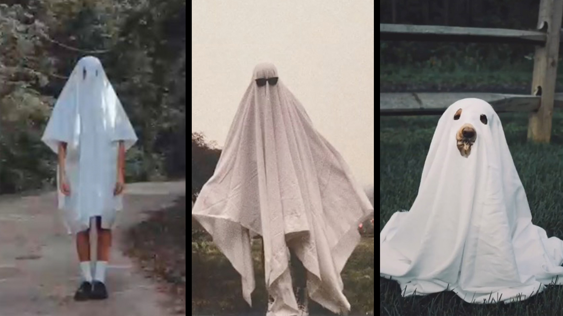TikTok Users Have Spooky Fun With The Ghost Photoshoot Trend RTM. 