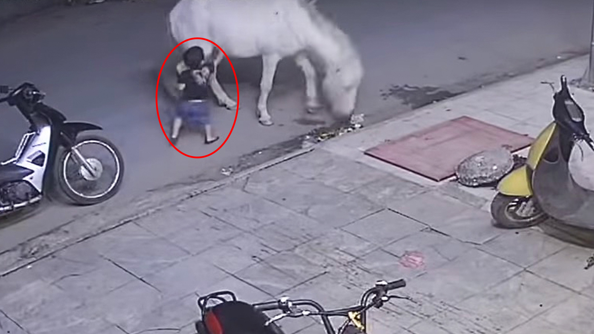 Mess With A Horse, Get Kicked RTM RightThisMinute