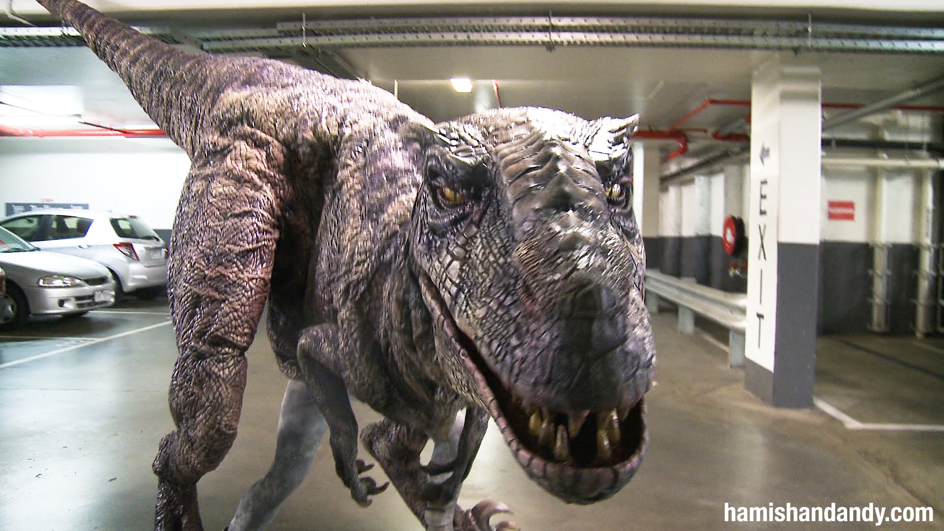 dinosaur terrorizes drivers in parking garage rtm rightthisminute