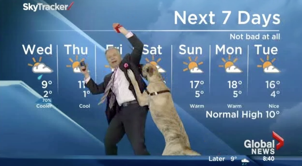 funny mweather forecast for blue rapids ks