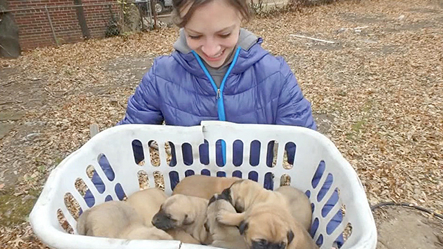 Donate Dog Food St Louis Donate Dog Food St Louis