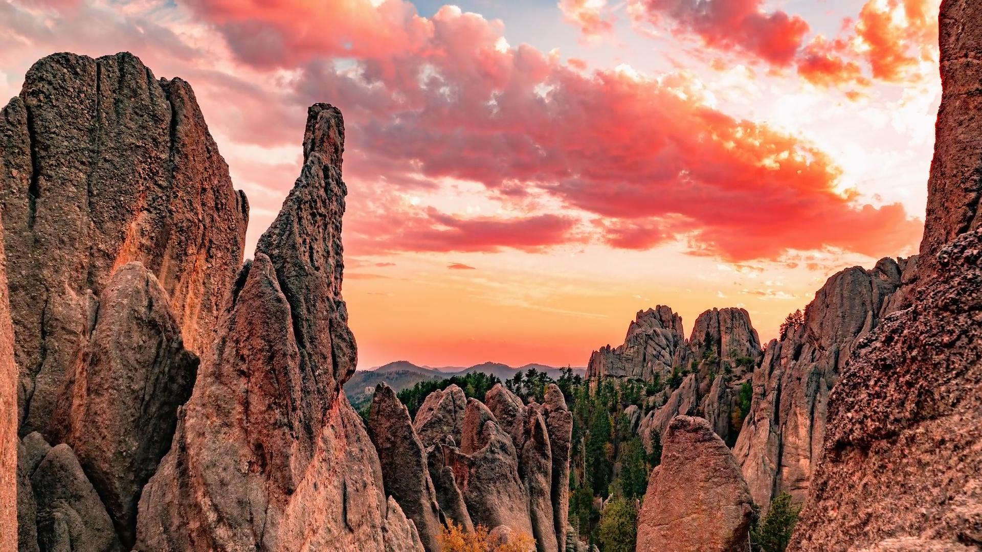 Indulge In The Serenity Of The Black Hills National Forest RTM