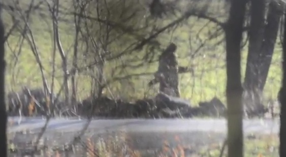 New and Improved Bigfoot Sighting in Connecticut RTM