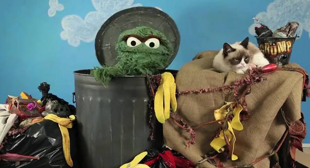 Battle of Bad Attitudes: Oscar the Grouch vs. Grumpy Cat 