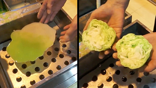Fake Cabbage Video