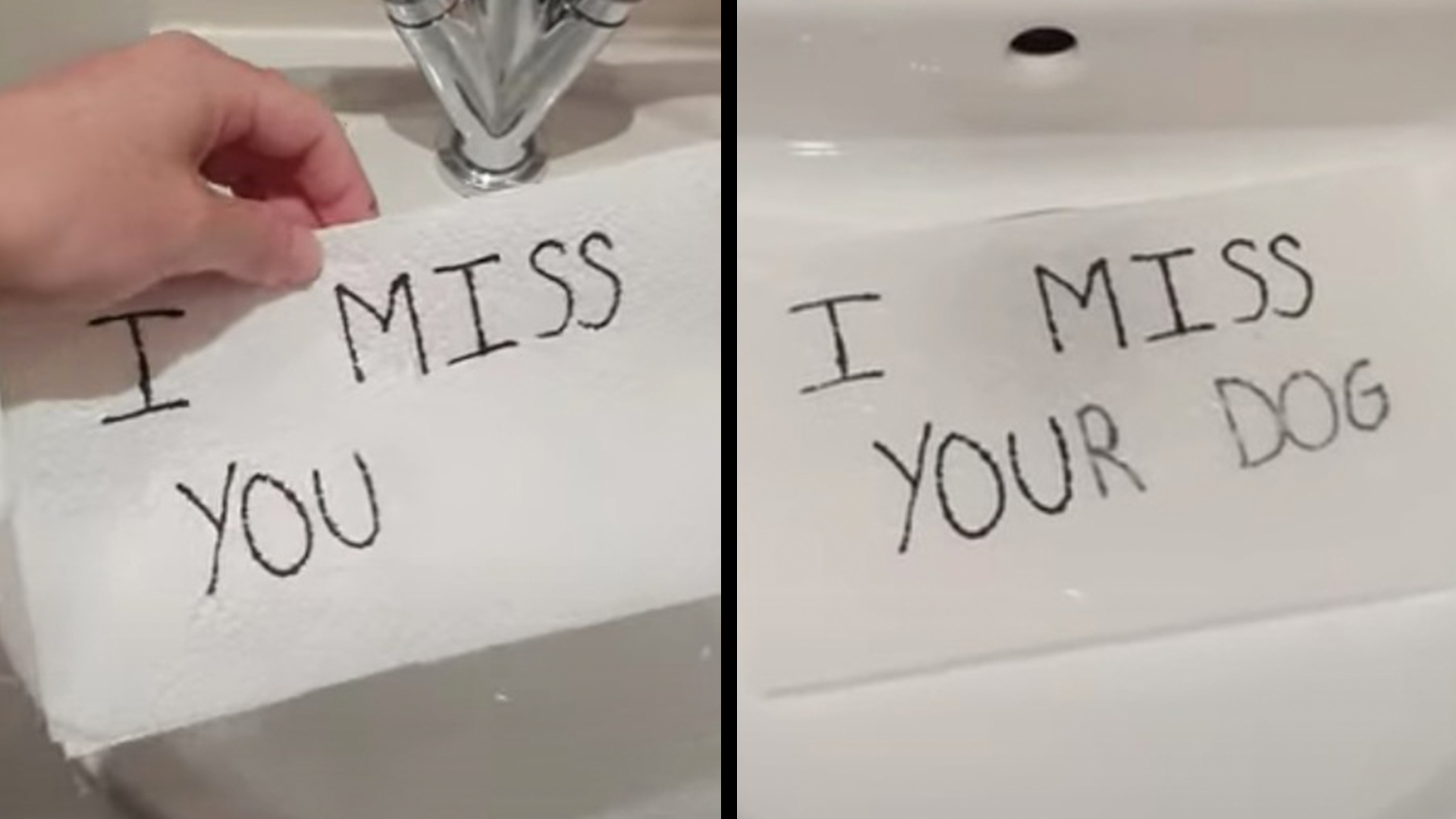 Hidden Messages On Paper Towels Reveal Hilarious Truths RTM