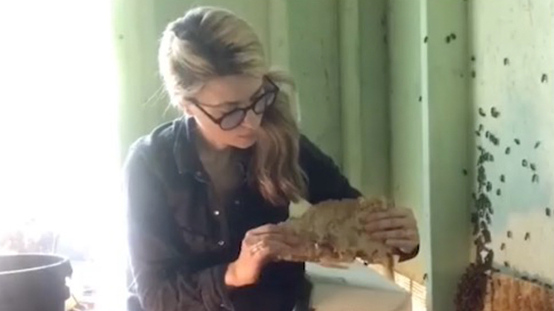 beekeeper removes hive like a boss rtm - rightthisminute
