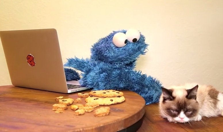 video-cookie-monster-grumpy-cat-breaktheinternet.jpg
