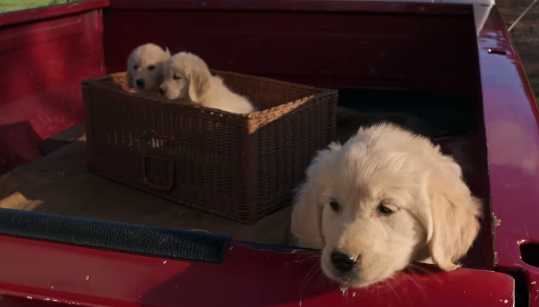 GoDaddy Super Bowl Commercial Pulled RTM RightThisMinute