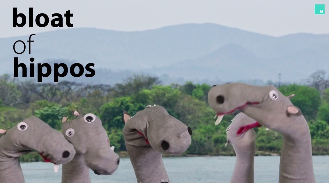 A Gaggle of Sock Puppets Illustrate Weird Animal Group Names RTM