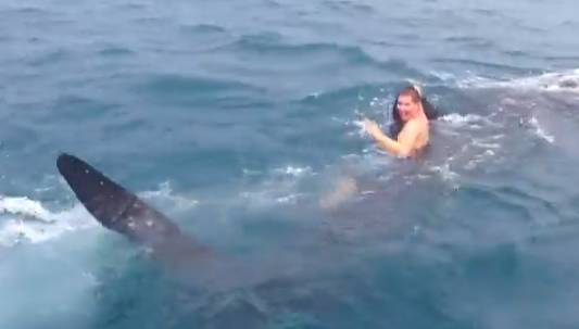 Daredevil Teen Hitches Ride On 30Foot Whale Shark RTM Ri